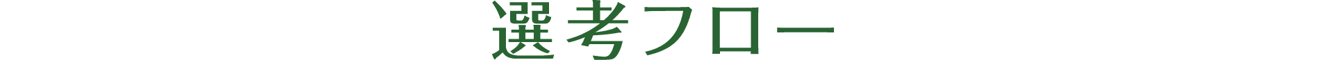 選考フロー
