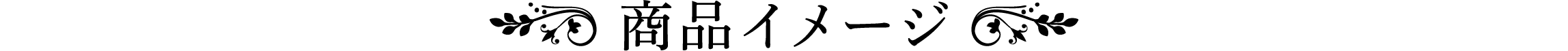 商品イメージ