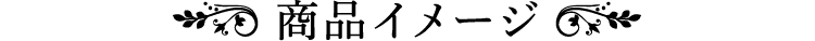 商品イメージ